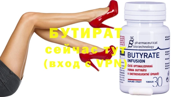 дживик Ельня