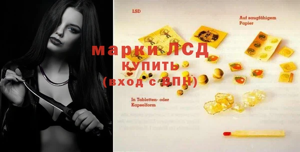 дживик Ельня