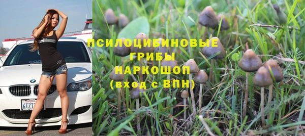 меф Заводоуковск