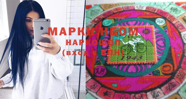 дживик Ельня