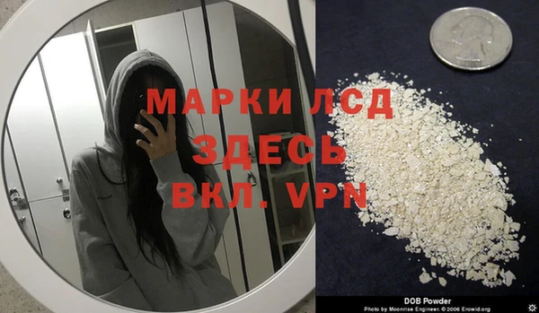 дживик Ельня