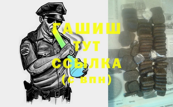 дживик Ельня
