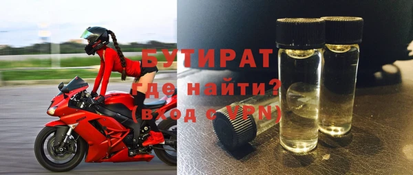 дживик Ельня