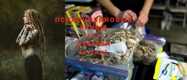 амф Елабуга