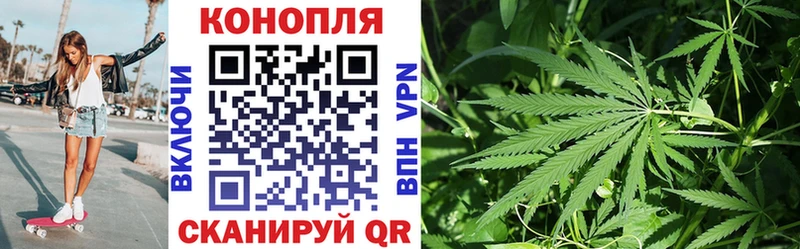 Купить  Троицк  Каннабис планчик 